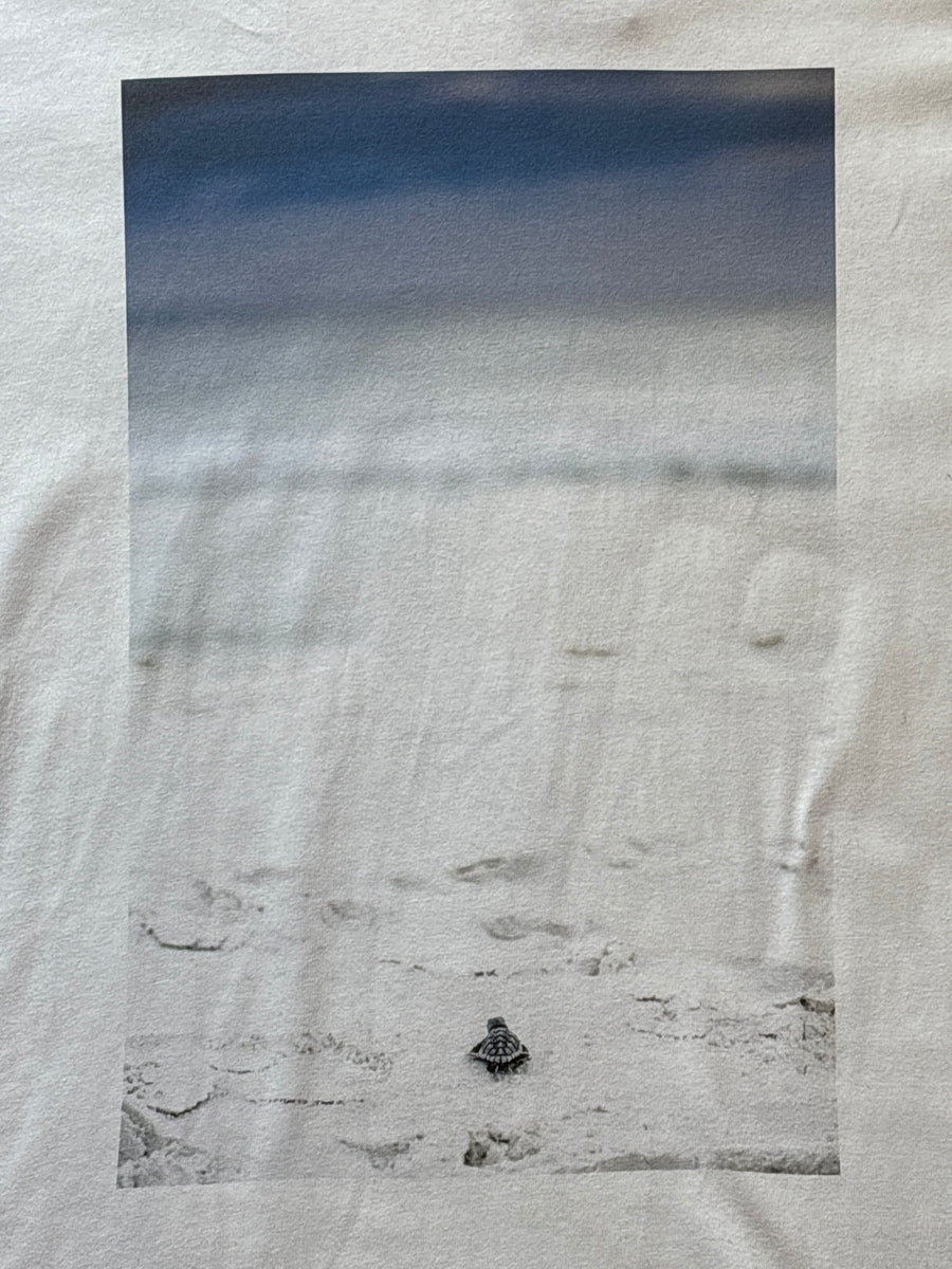 Modus T - The Journey Begins