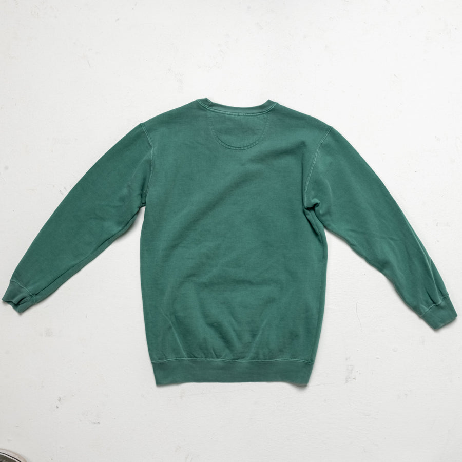 Custom Comfort "Take Off Turtle" Color Sweatshirt