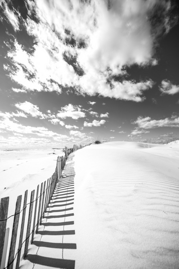 Black-and-white photograph of dune fence casting shadows across white sand under a bright sky on 30A beach.