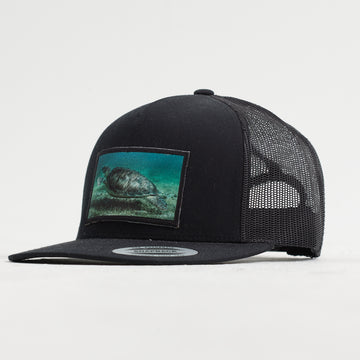 Turtle Patch Hat