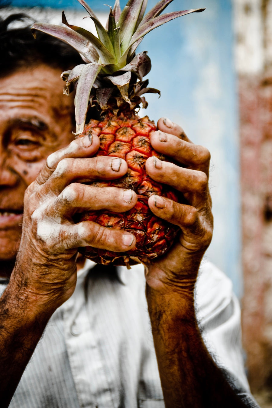 Humble Hands | Modus Paper Prints