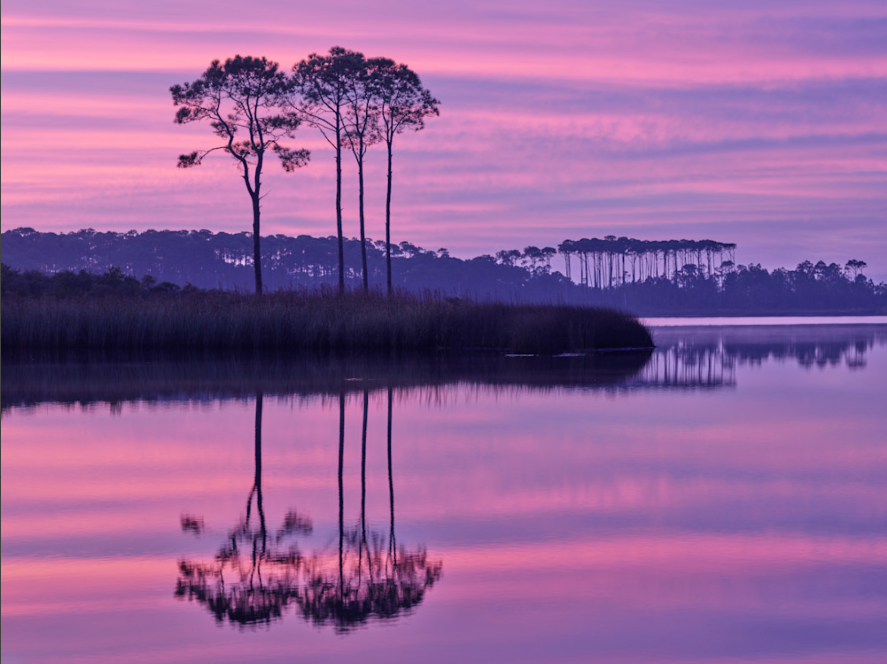 Sunset photo of Western Lake with lavender and pink reflections in calm water, Grayton Beach Florida.