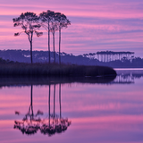 Sunset photo of Western Lake with lavender and pink reflections in calm water, Grayton Beach Florida.
