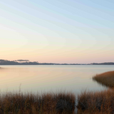 Western Lake sunset photograph showing warm sawgrass and pine tree reflections on calm water, Grayton Beach Florida.