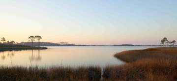 Western Lake sunset photograph showing warm sawgrass and pine tree reflections on calm water, Grayton Beach Florida.