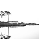 Western Lake White on White | Modus Paper Prints