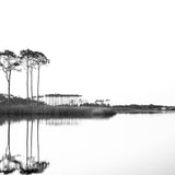 Western Lake White on White | Modus Paper Prints - Wholesale