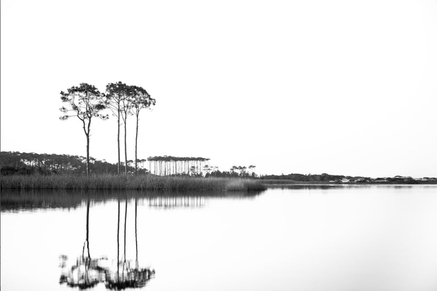 Western Lake White on White | Modus Paper Prints